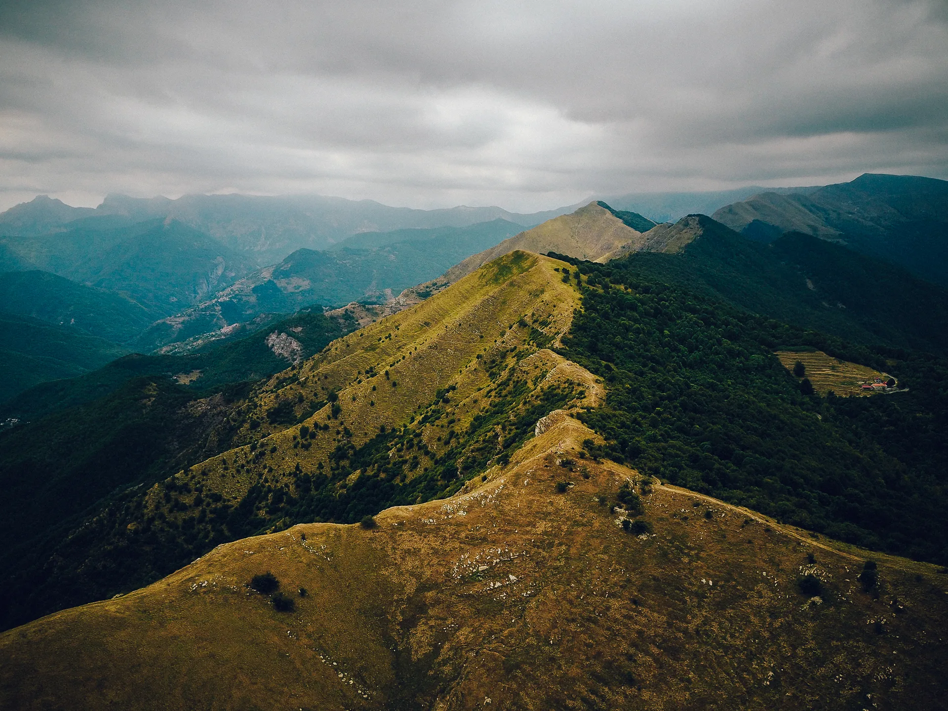 DJI 0096