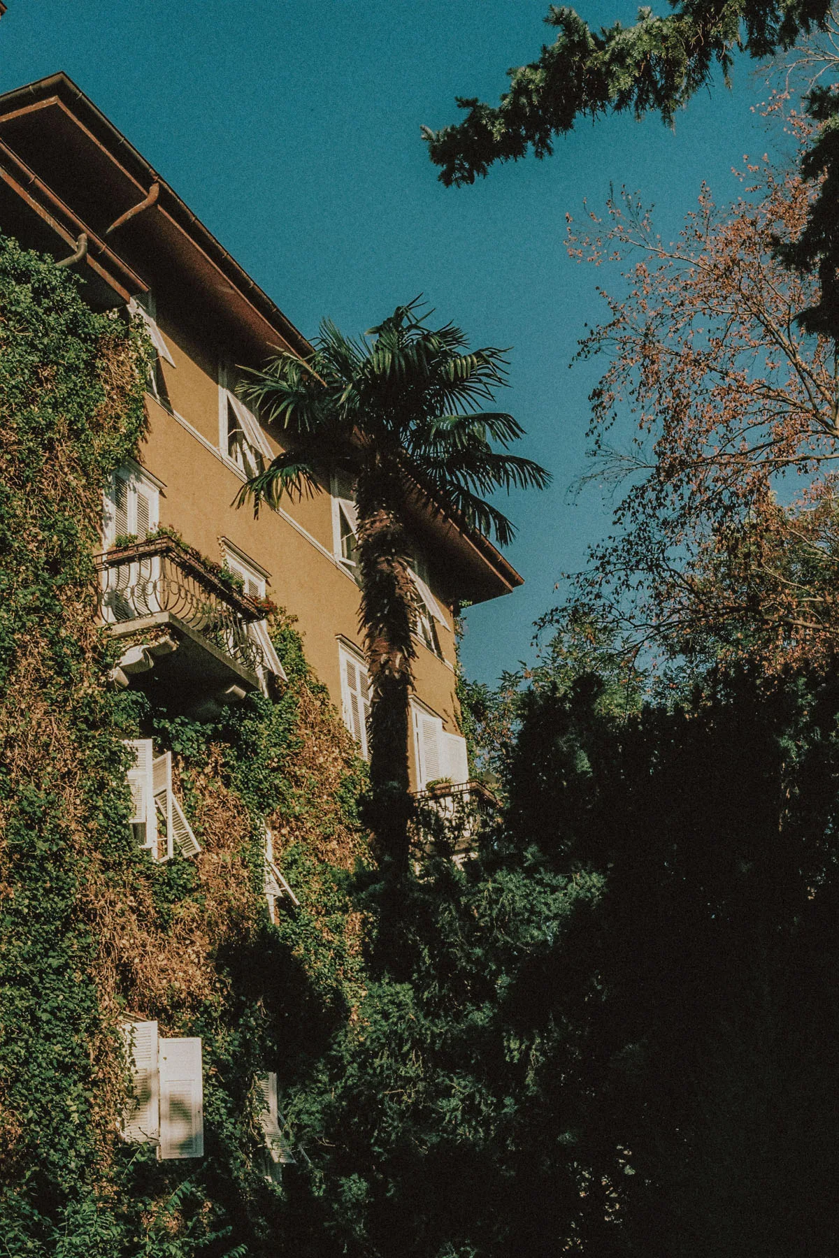 Mondschein analog Marlene Mauer007