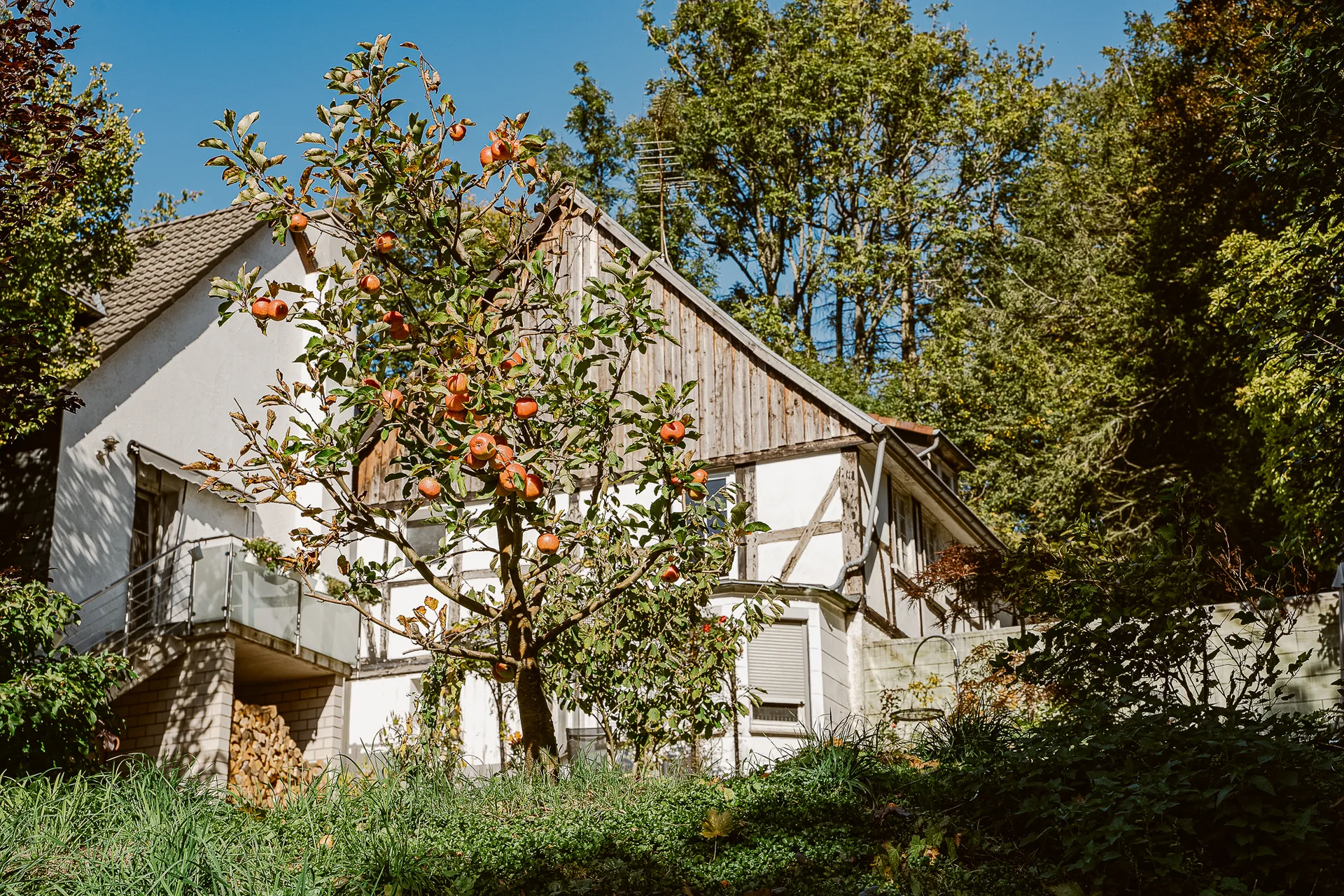 OS Hungenbach 2210 205