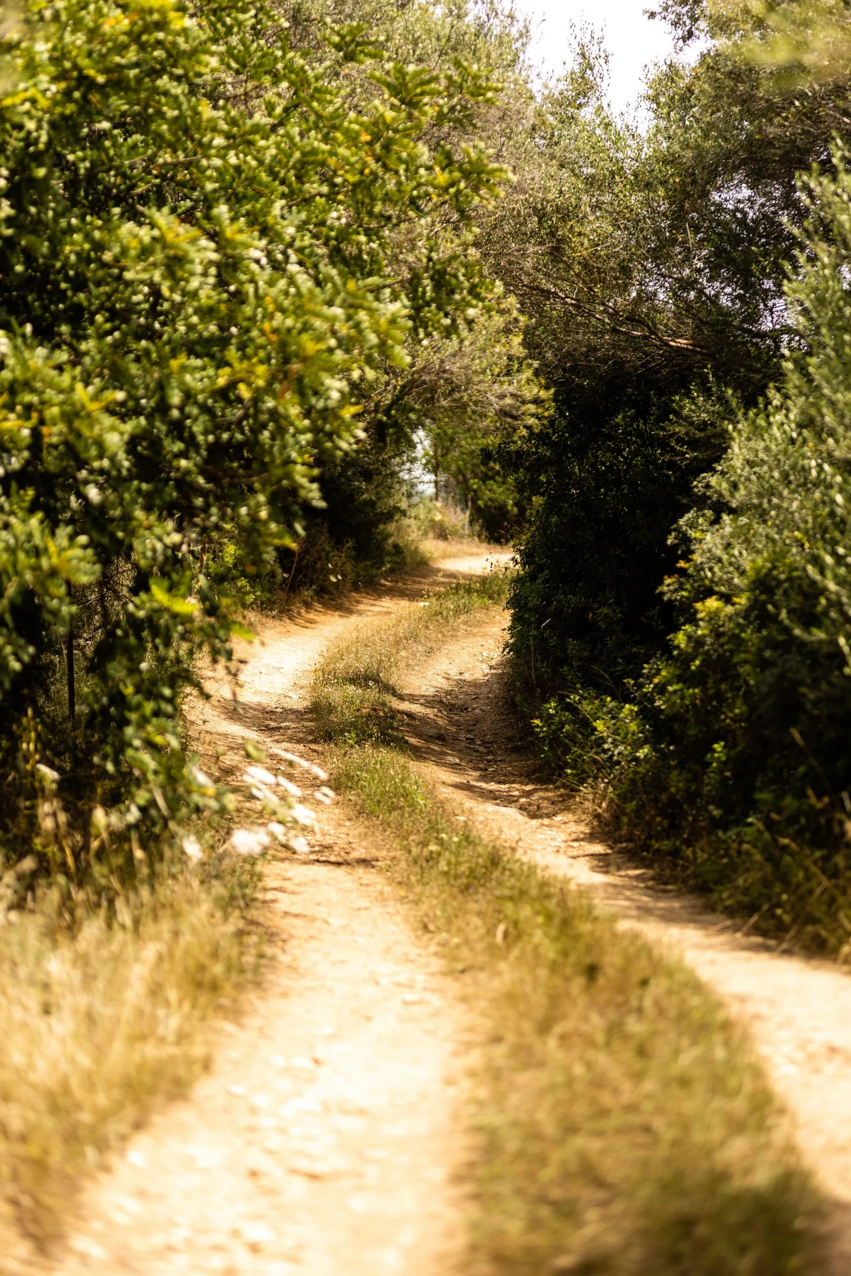 OS Yoga Retreats Sardinien valley 4G0A6852