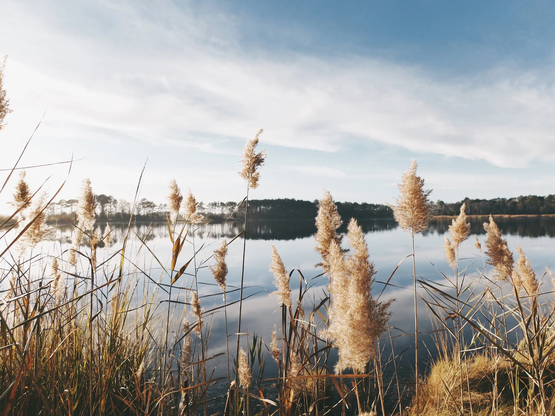YogaRetreat Brandenburg Only Soul Hotel am See17