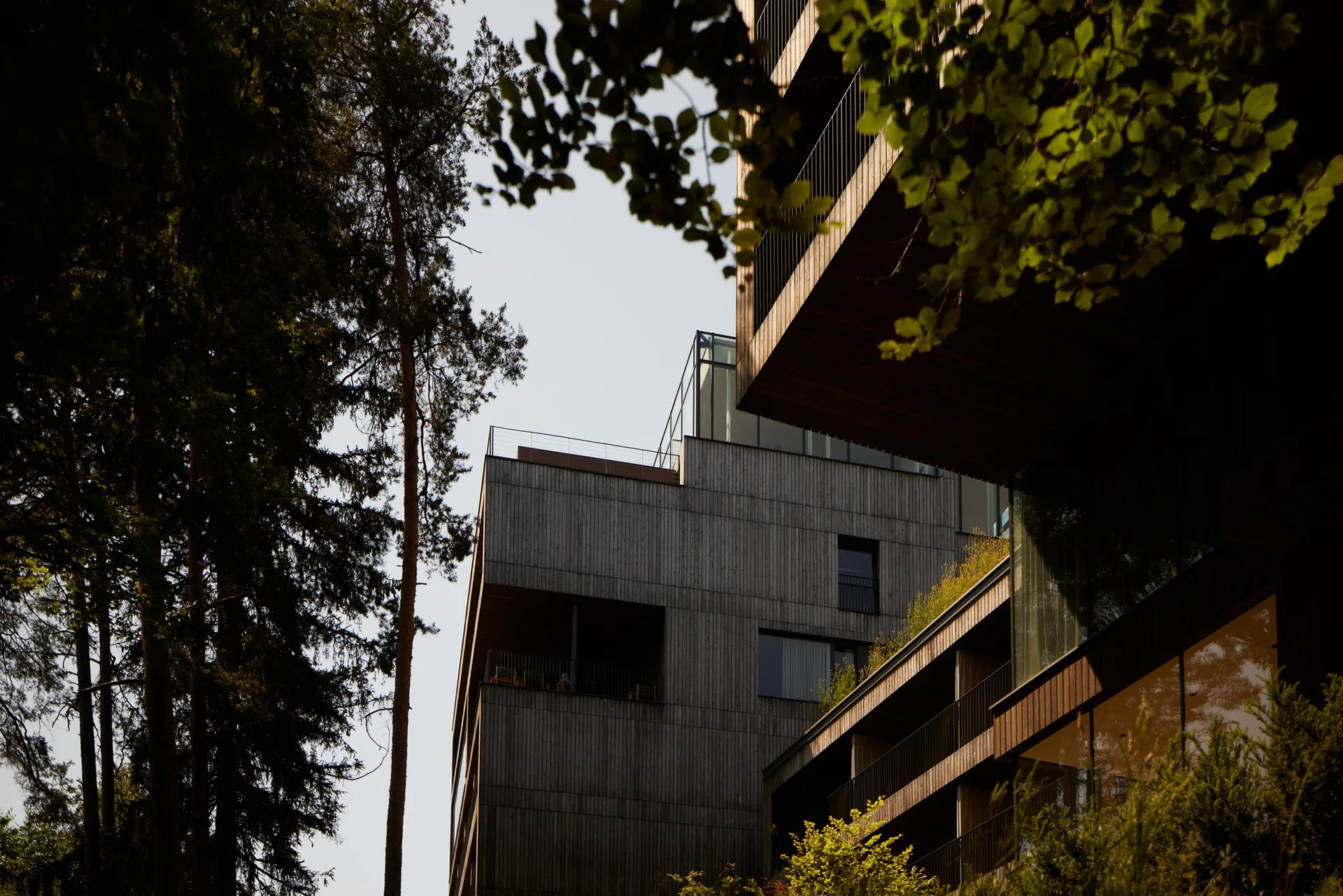 C Eco Design Hotel SaltusSAL Aussen 0001