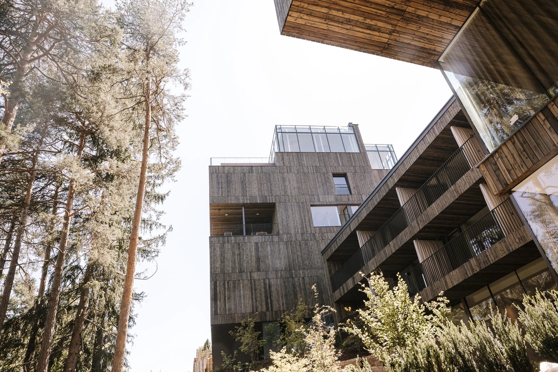 C Eco Designhotel Saltussaltuscvinumhotels.comnectarandpulse saltus highres 0974