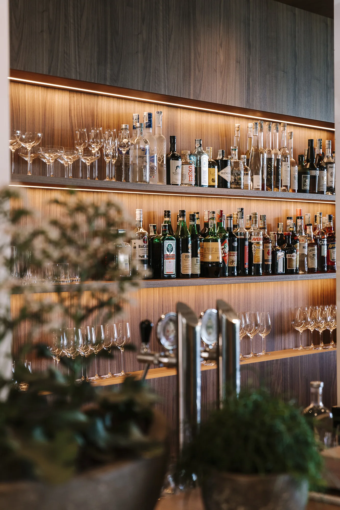 C Eco Designhotel Saltussaltuscvinumhotels.comnectarandpulse saltus highres 1159