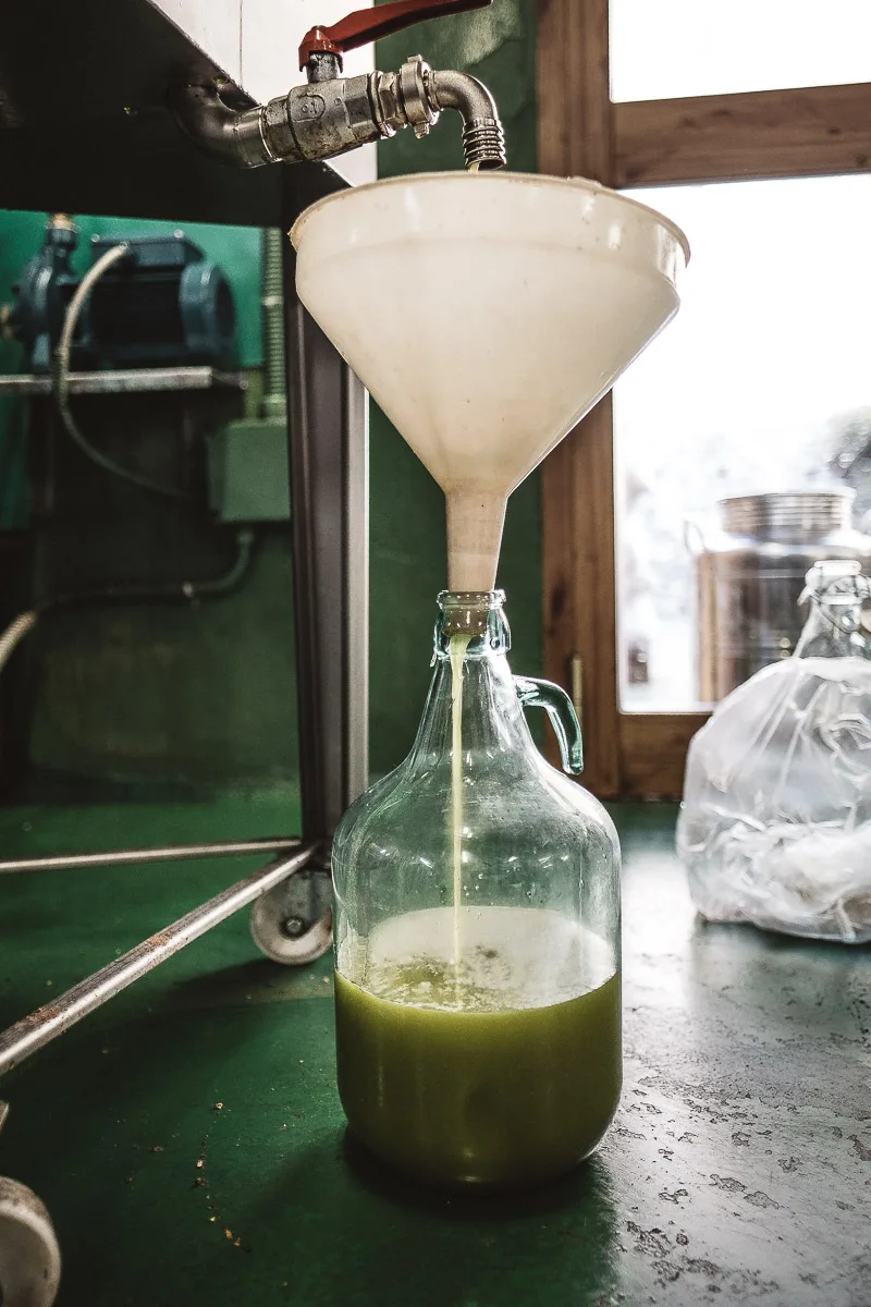 Olio taggiasca